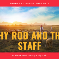 Torah Portions – Sabbath Lounge